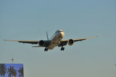 DSC_5704 (Large).JPG